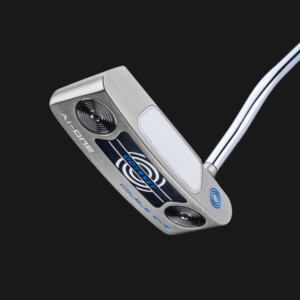 Ai-One Silver Double Wide DB - Putteri - Odyssey